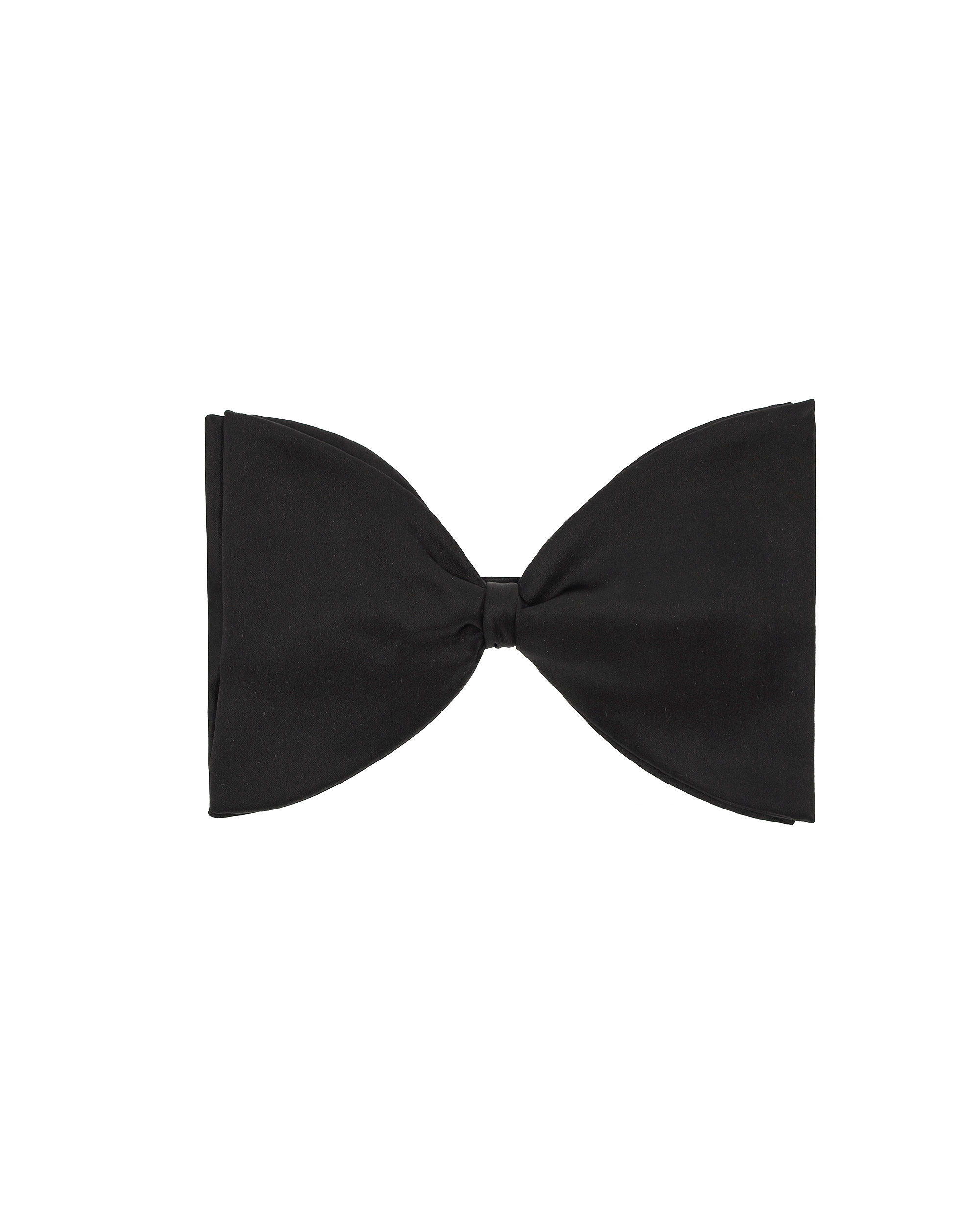 Brit Papillon