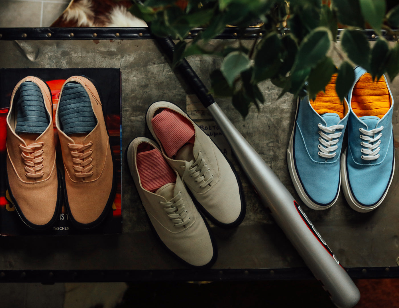 Scarpe