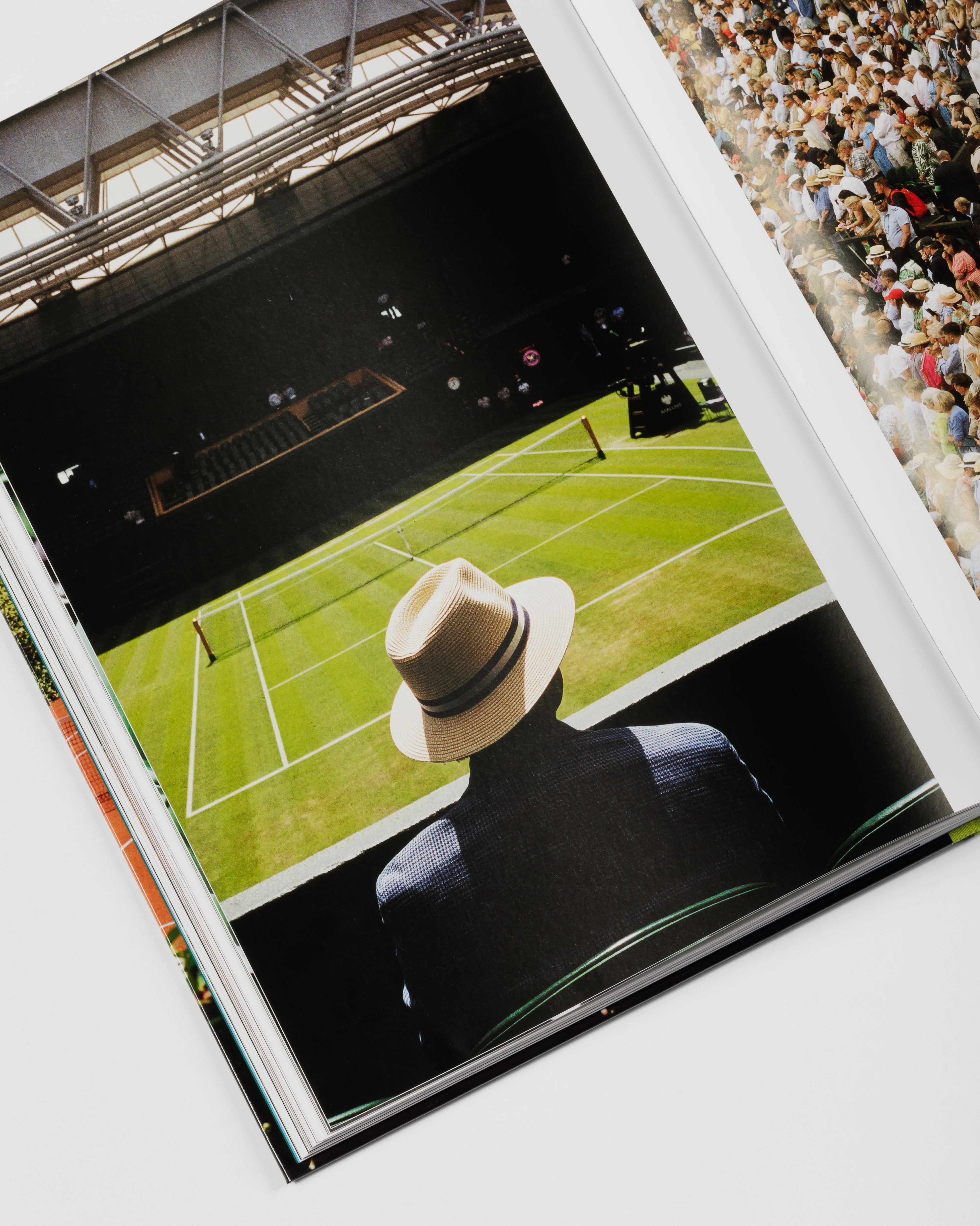 Paradise Courts book