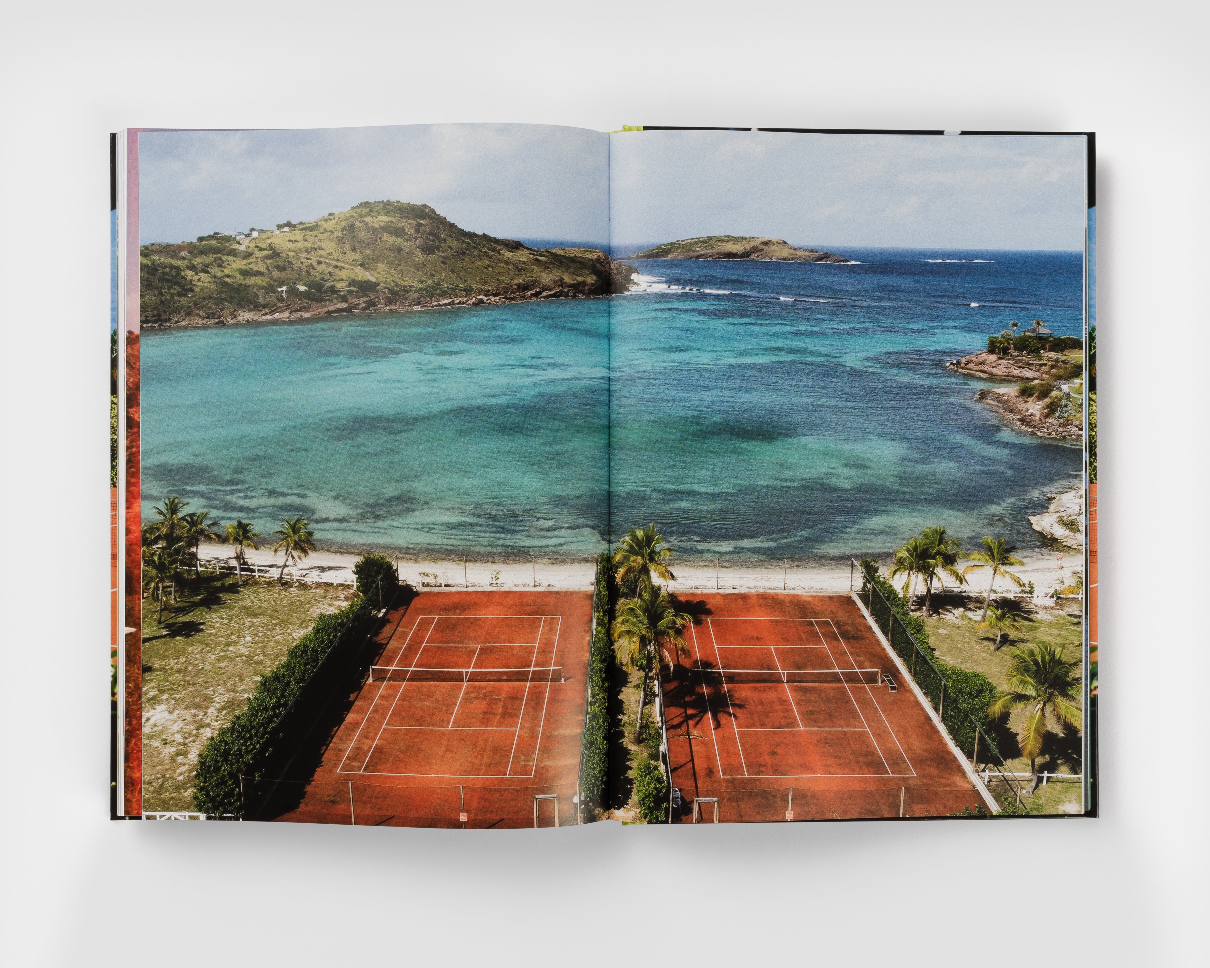 Paradise Courts book