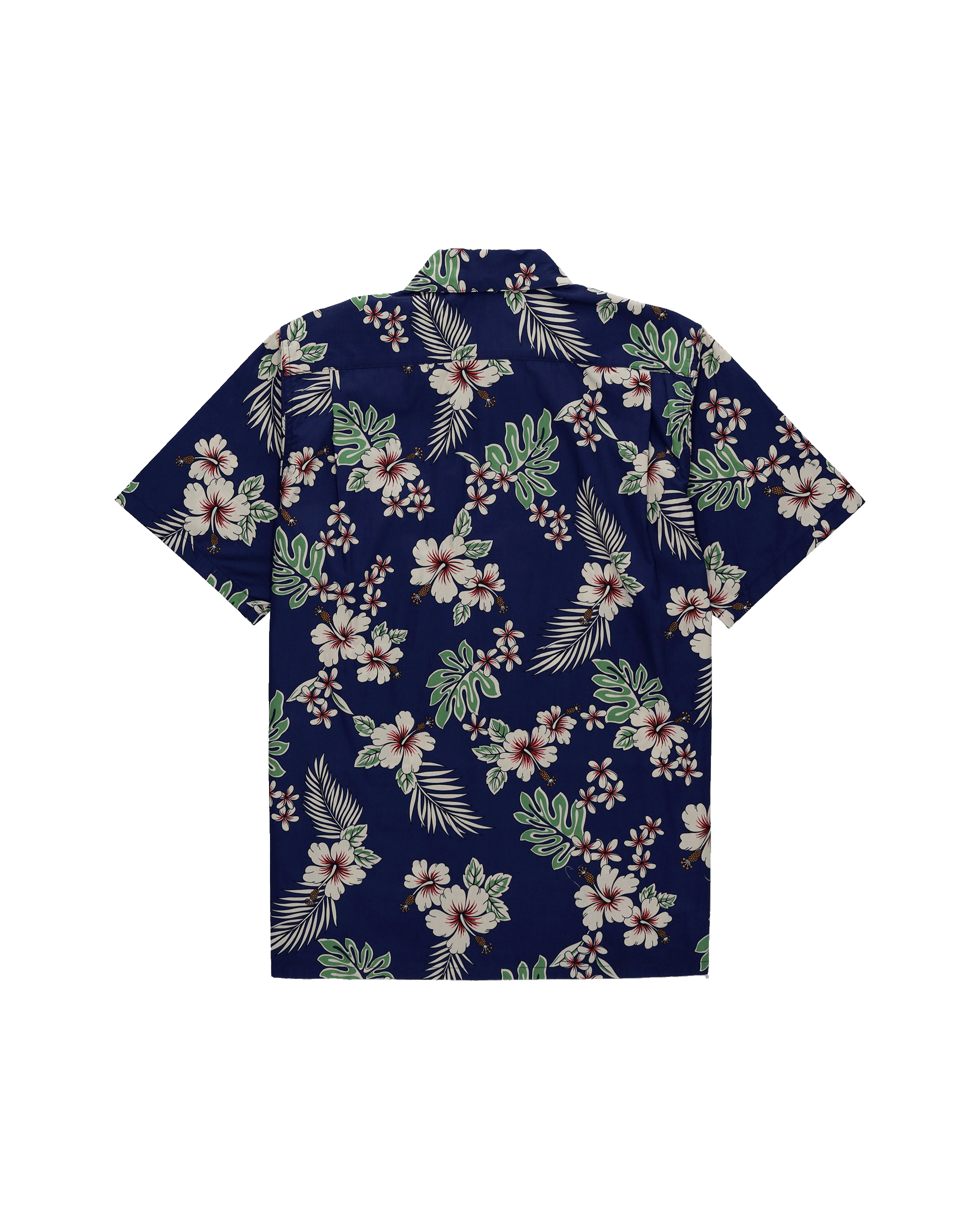 HAOLE-GB014              NVY