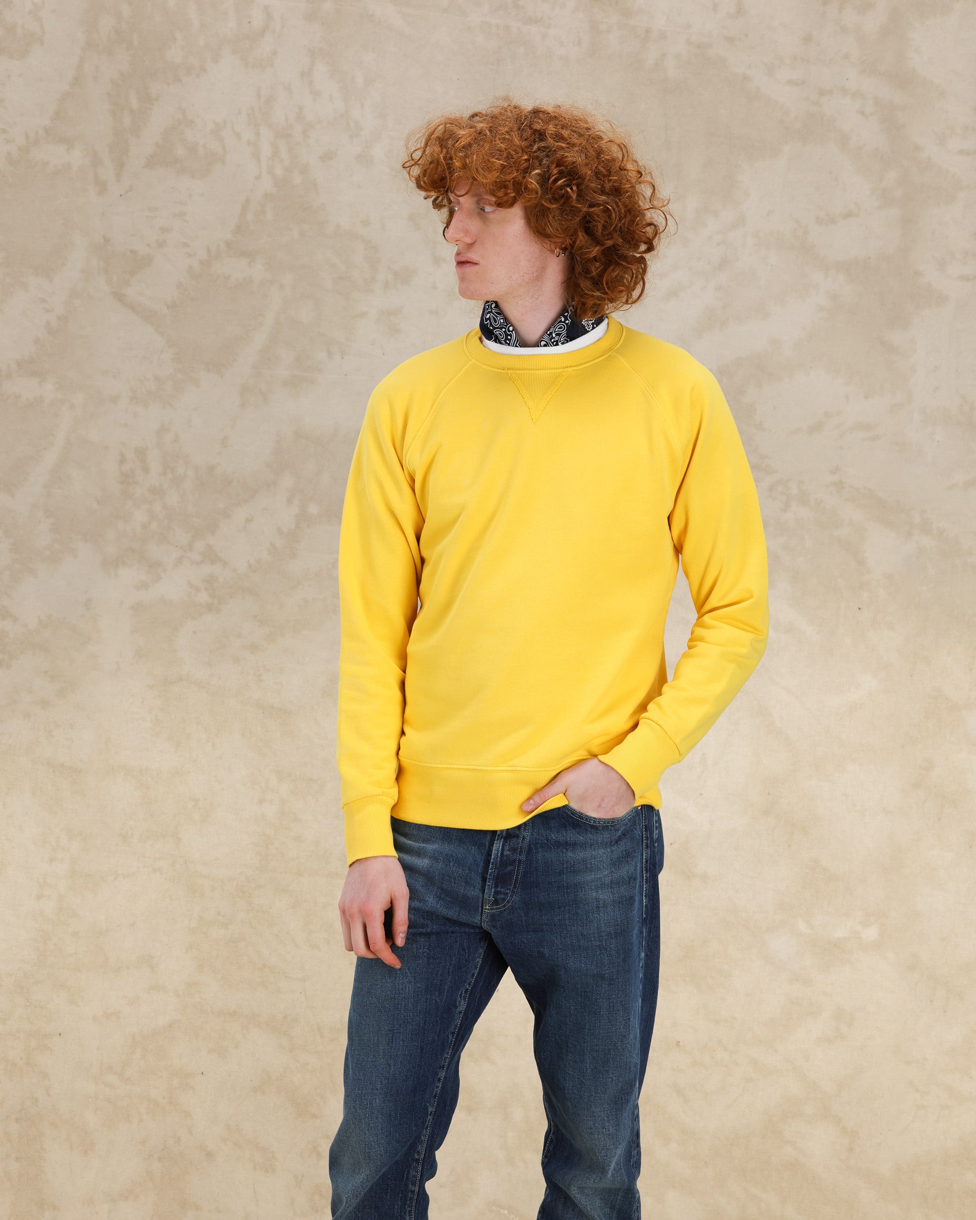 HARVARD-01040            YEL