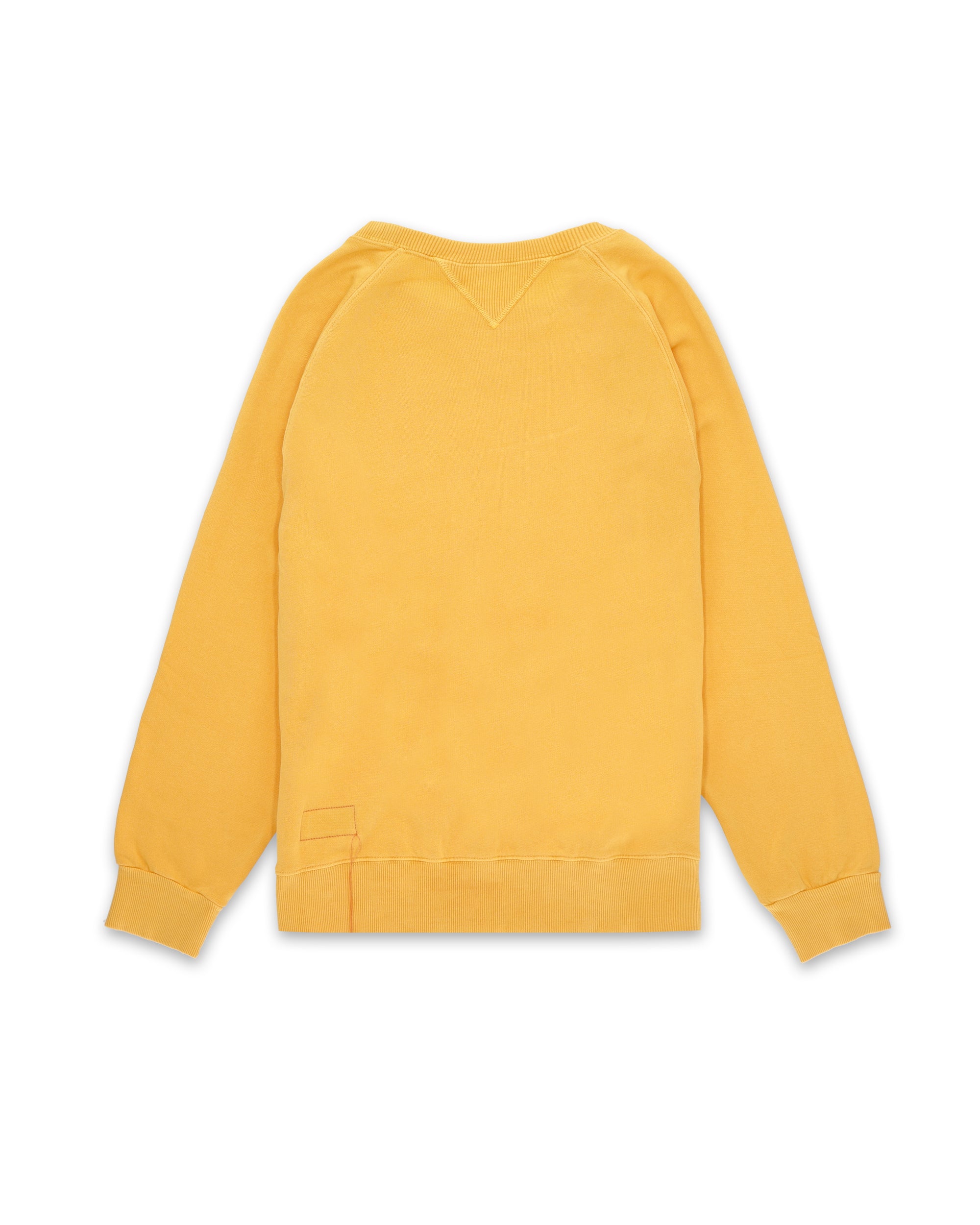 Harvard Sweatshirt Crewneck Raglan Sleeves
