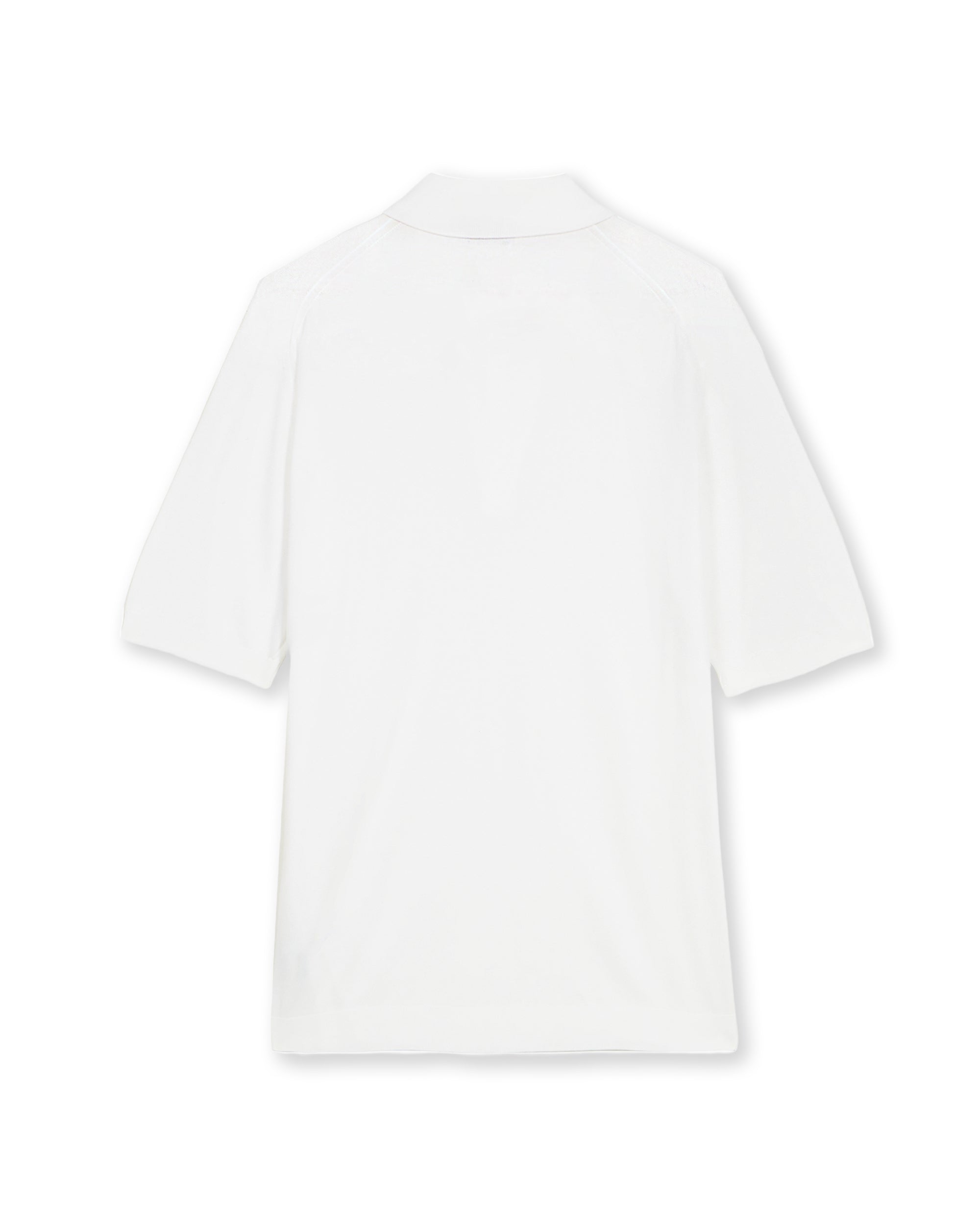 ISIS-JS001               WHI