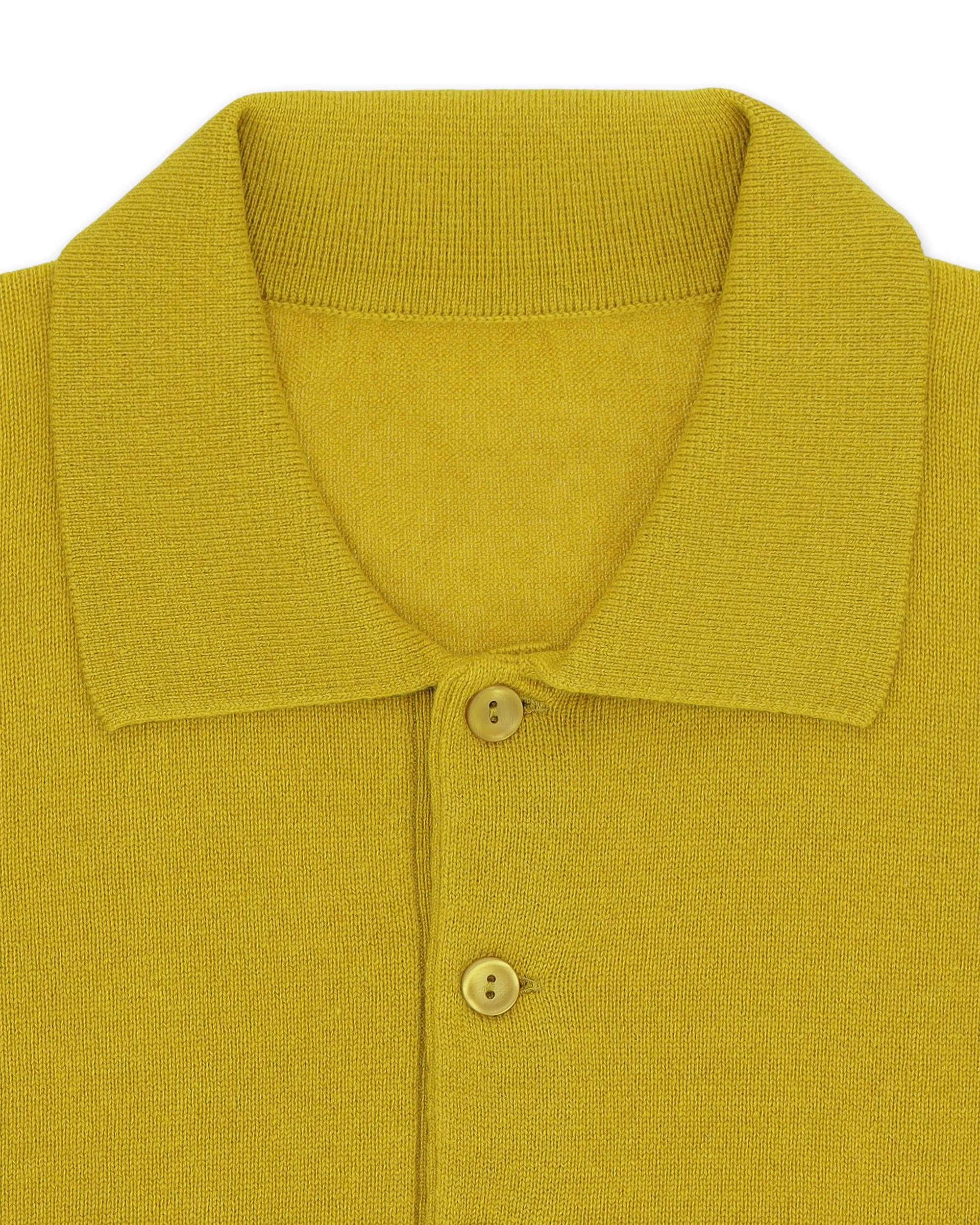 Polo In Cashmere 