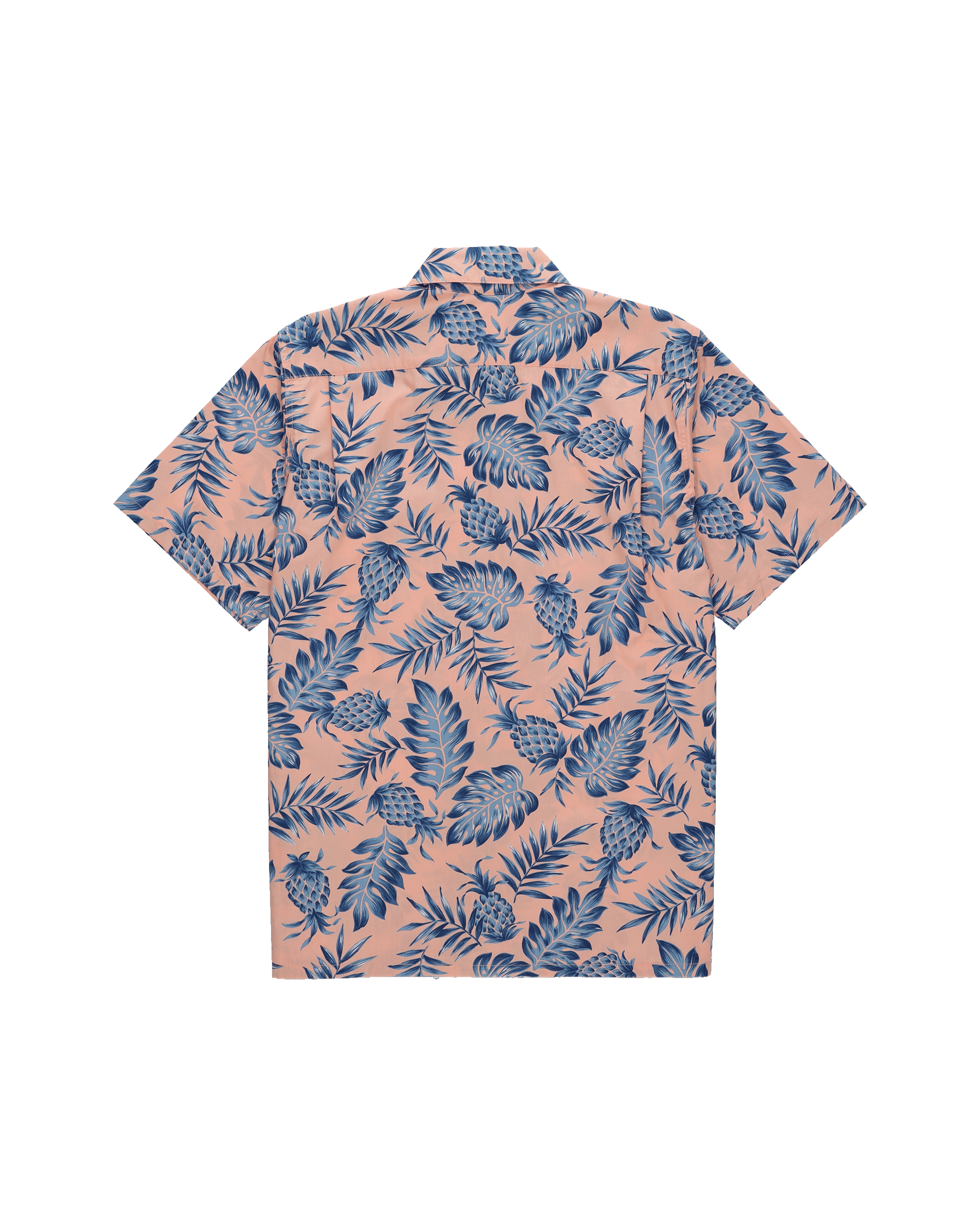 PINEAPPLE-GB008          COR