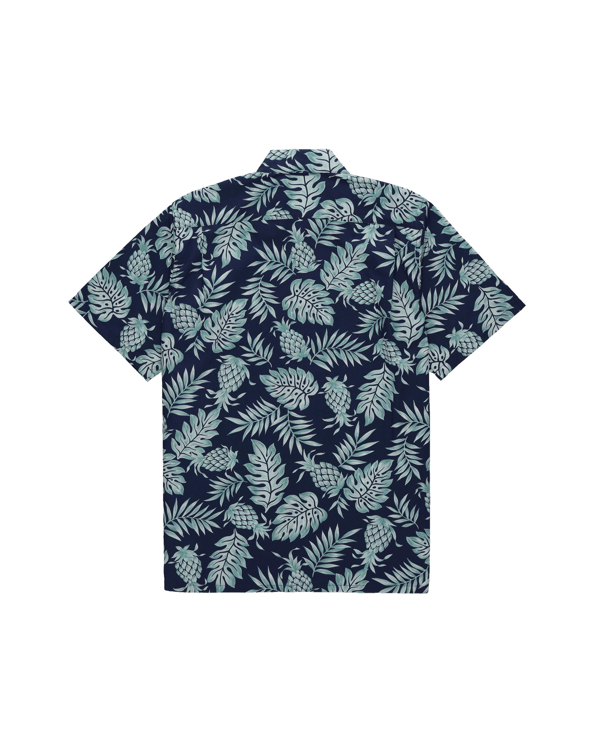 PINEAPPLEPAREAU-GB009    BLU